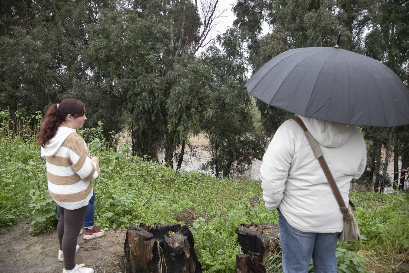 Inquietud y tensión en las parcelas más cercanas al río en Córdoba
