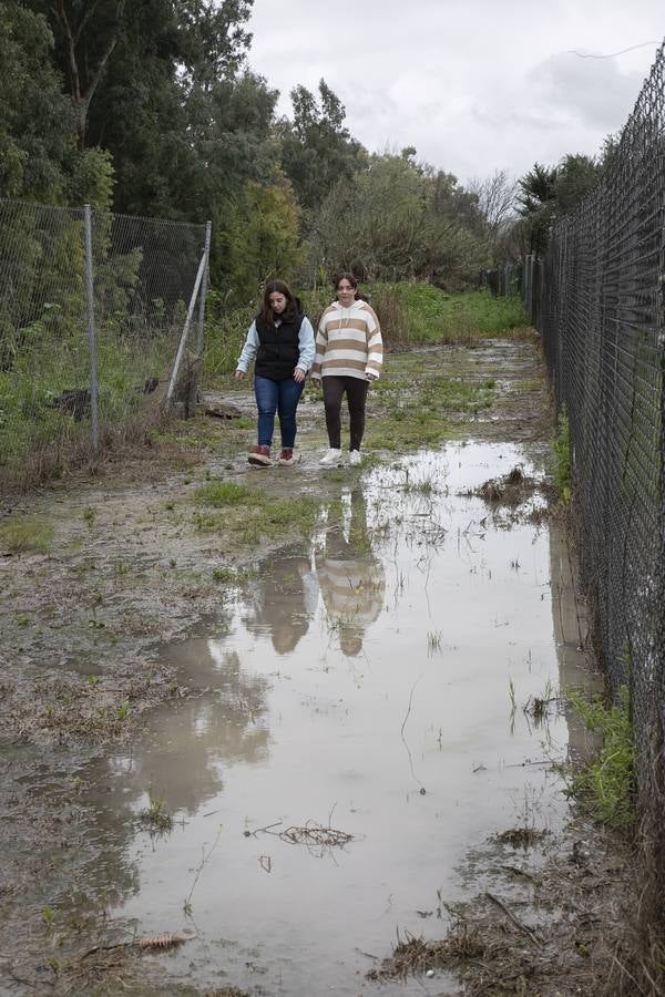 Inquietud y tensión en las parcelas más cercanas al río en Córdoba