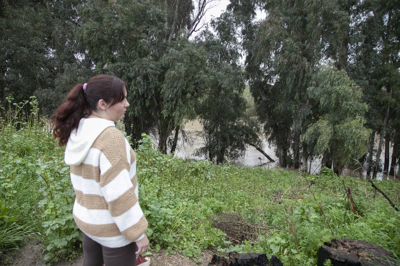 Inquietud y tensión en las parcelas más cercanas al río en Córdoba