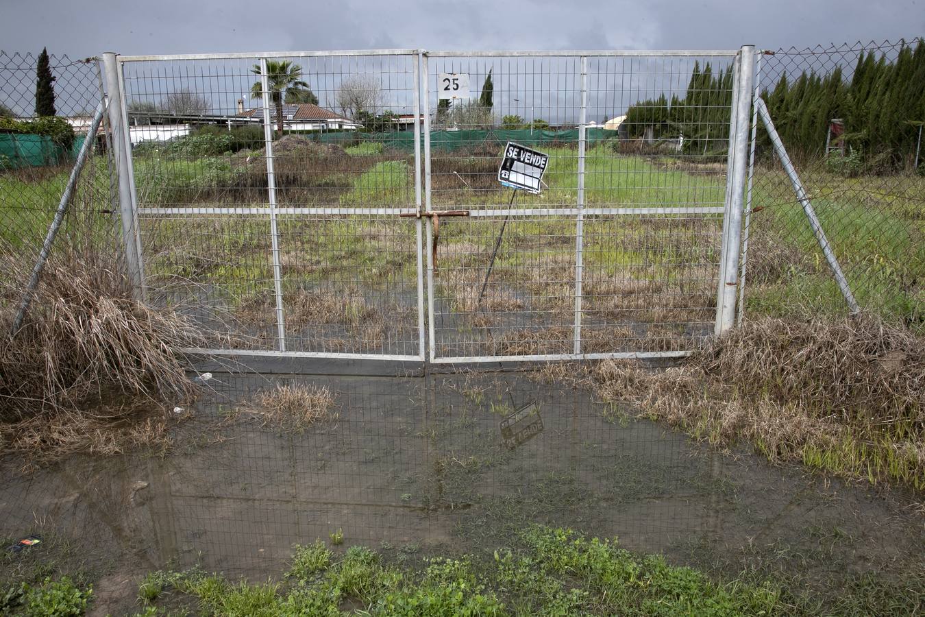 Inquietud y tensión en las parcelas más cercanas al río en Córdoba