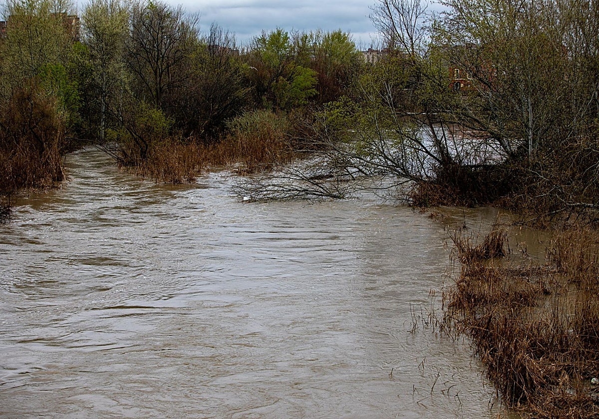 El río Tajo a su paso por Talavera de la Reina