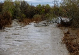 El caudal del Tajo en Talavera comienza a descender pero siguen en alerta por las lluvias de la próxima semana