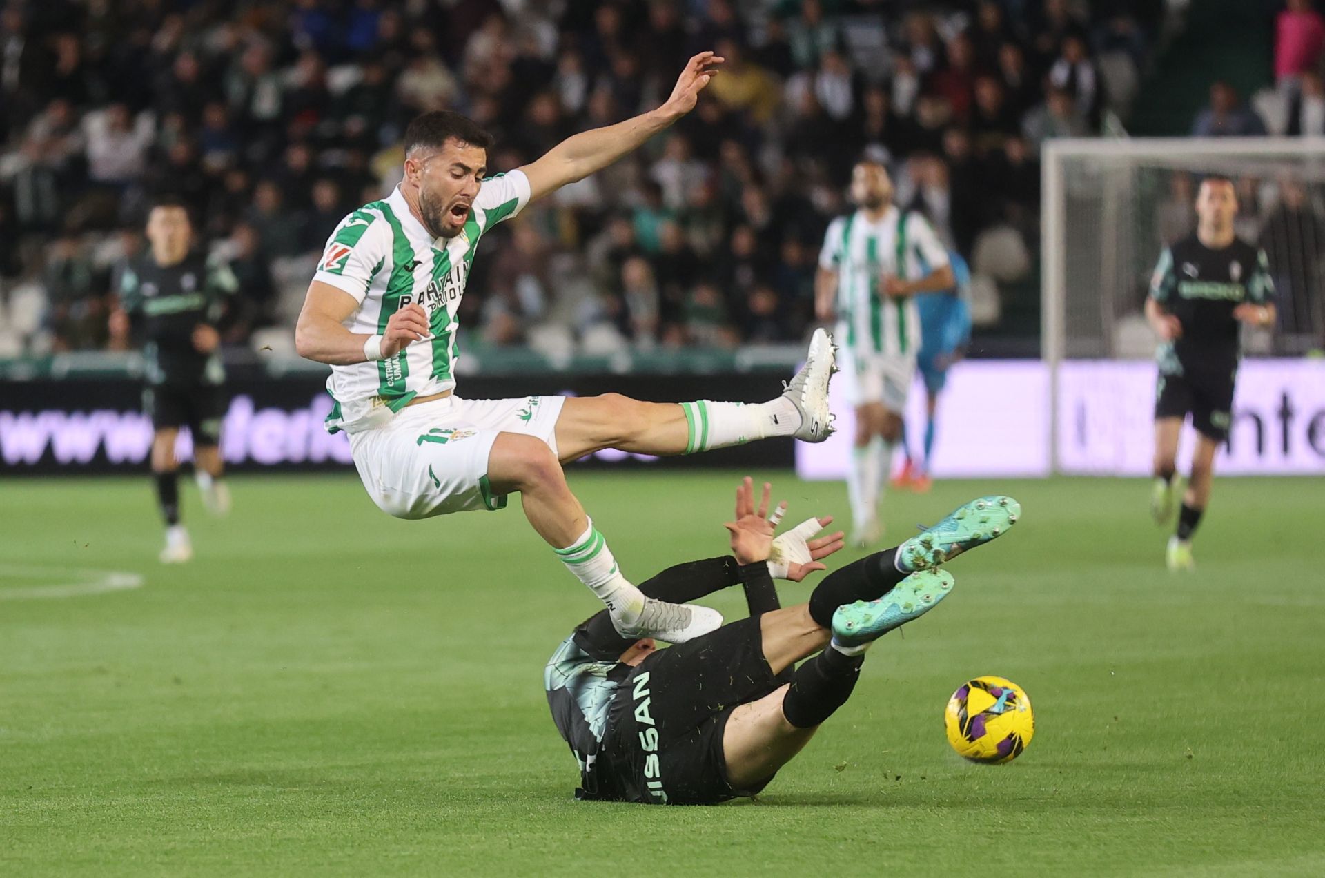 El empate del Córdoba CF ante el Sporting de Gijón, en imágenes