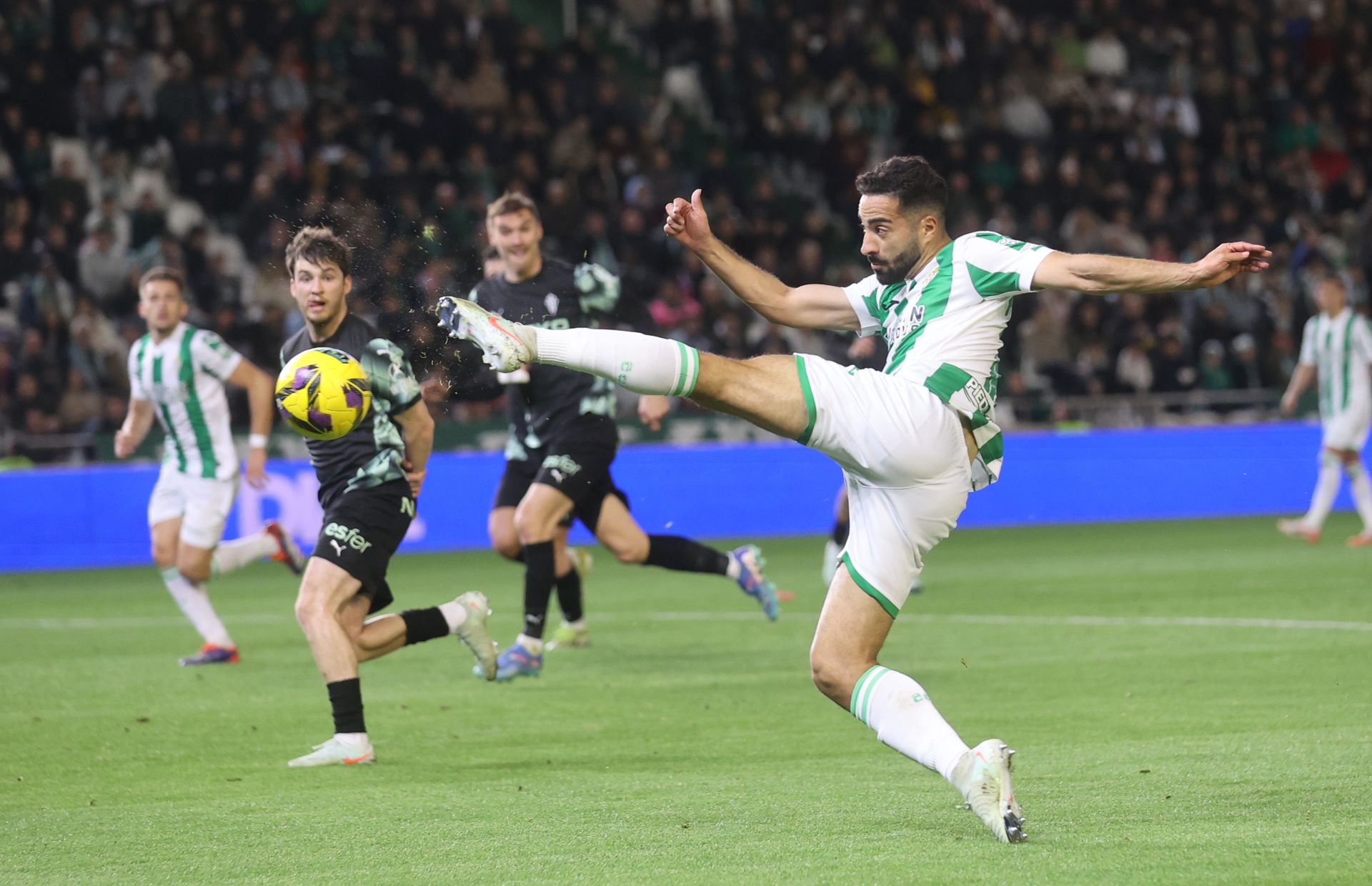 El empate del Córdoba CF ante el Sporting de Gijón, en imágenes