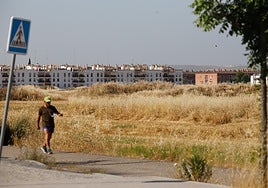 Estas son las nuevas calles que rotulará el Ayuntamiento de Córdoba en Huerta de Santa Isabel