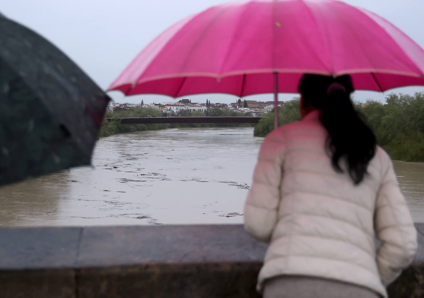 El impetuoso cauce del río Guadalquivir a su paso por Córdoba, en imágenes