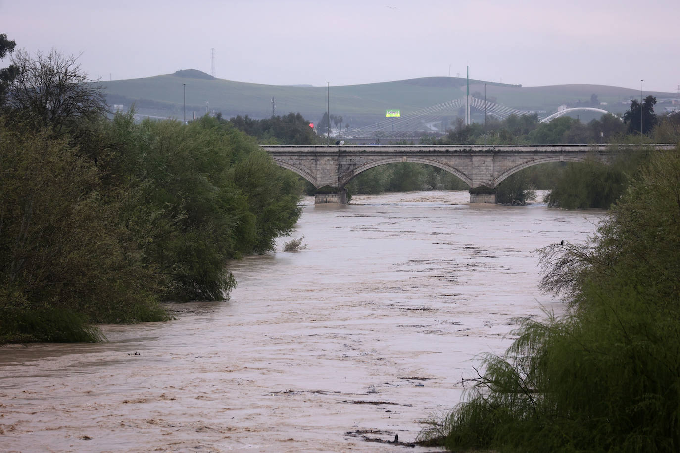 El impetuoso cauce del río Guadalquivir a su paso por Córdoba, en imágenes
