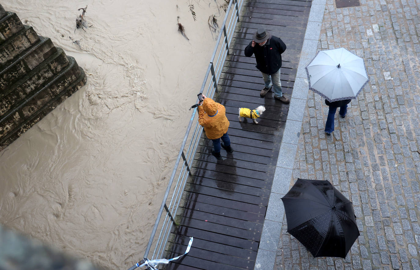 El impetuoso cauce del río Guadalquivir a su paso por Córdoba, en imágenes