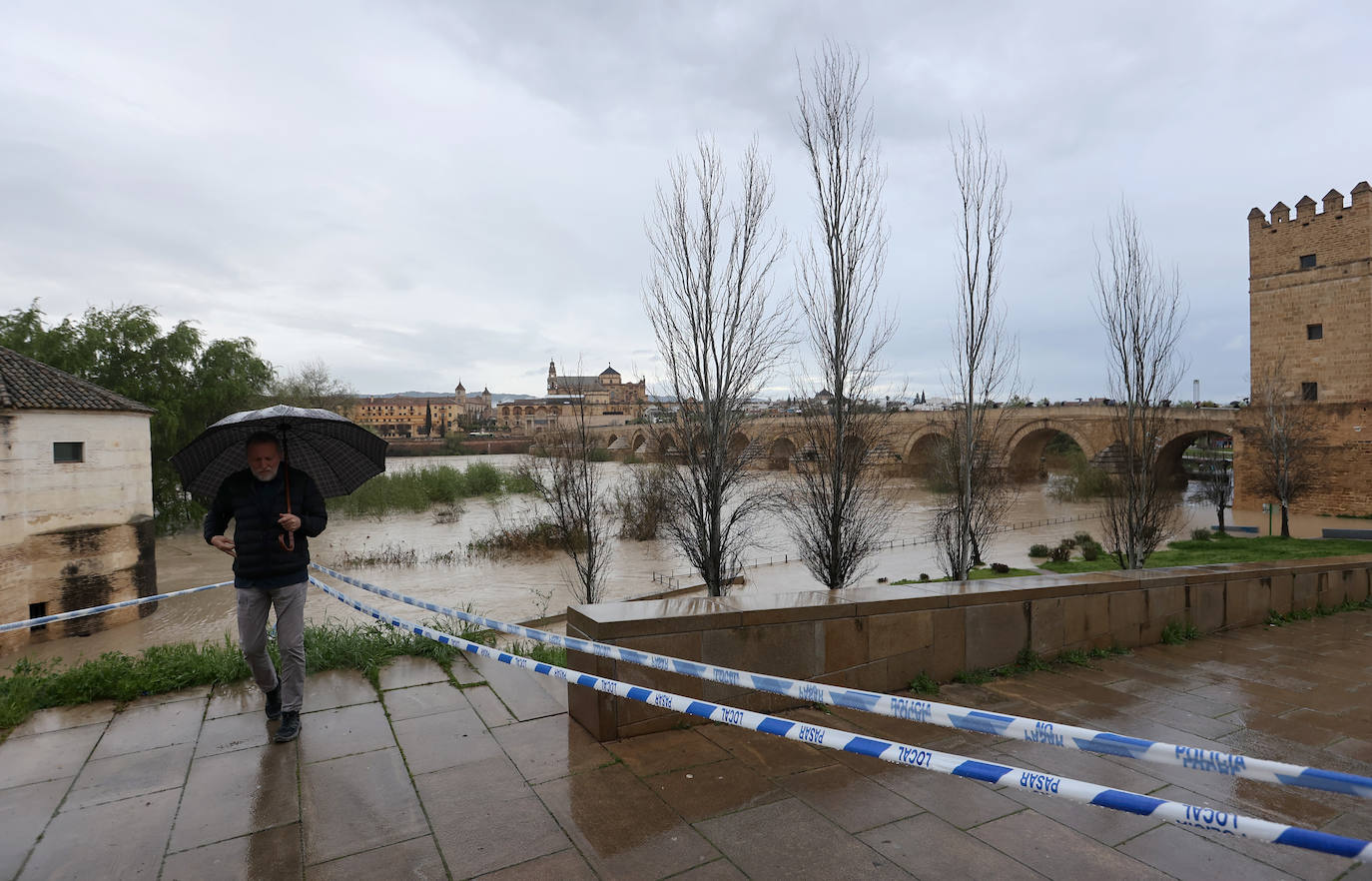 El impetuoso cauce del río Guadalquivir a su paso por Córdoba, en imágenes