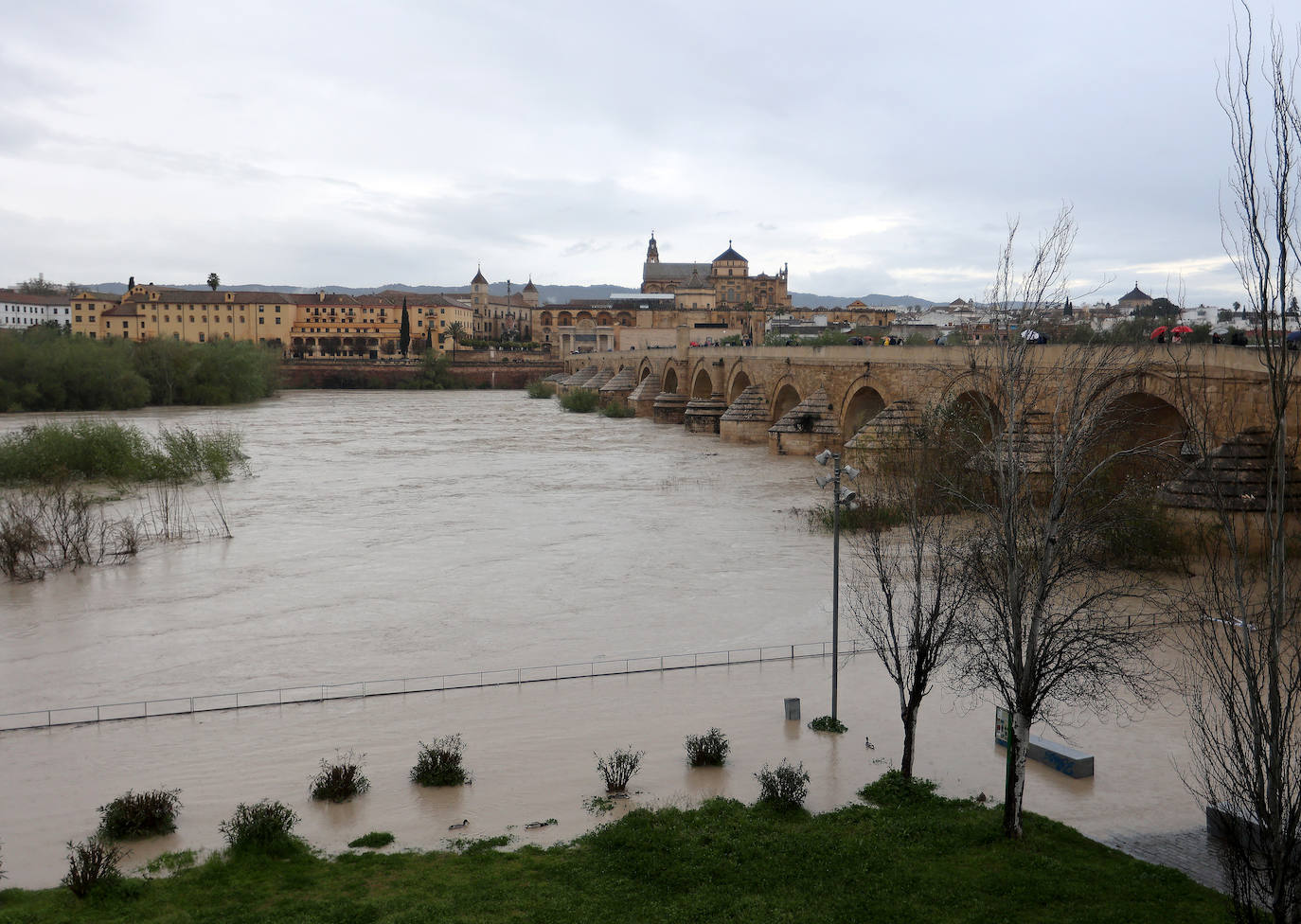 El impetuoso cauce del río Guadalquivir a su paso por Córdoba, en imágenes