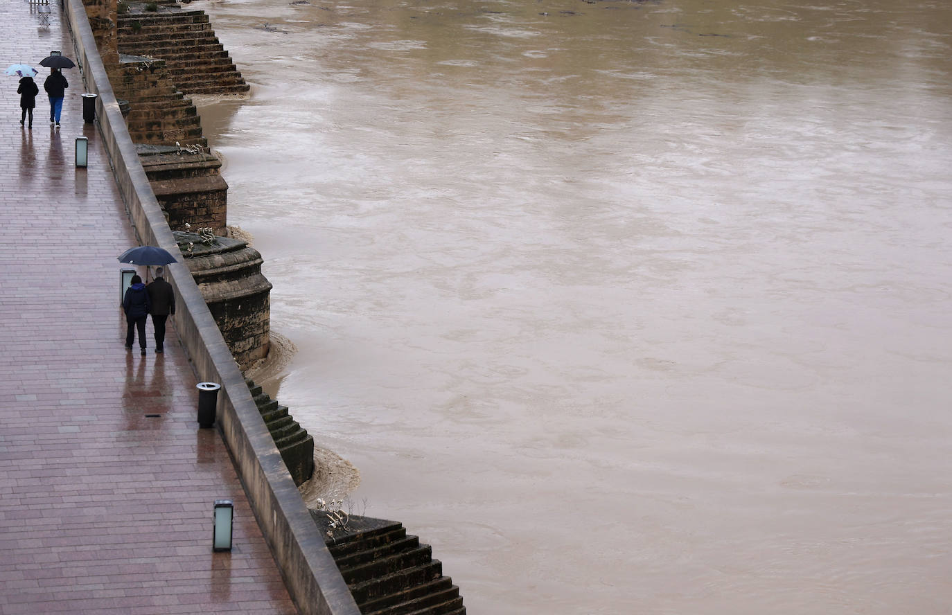 El impetuoso cauce del río Guadalquivir a su paso por Córdoba, en imágenes