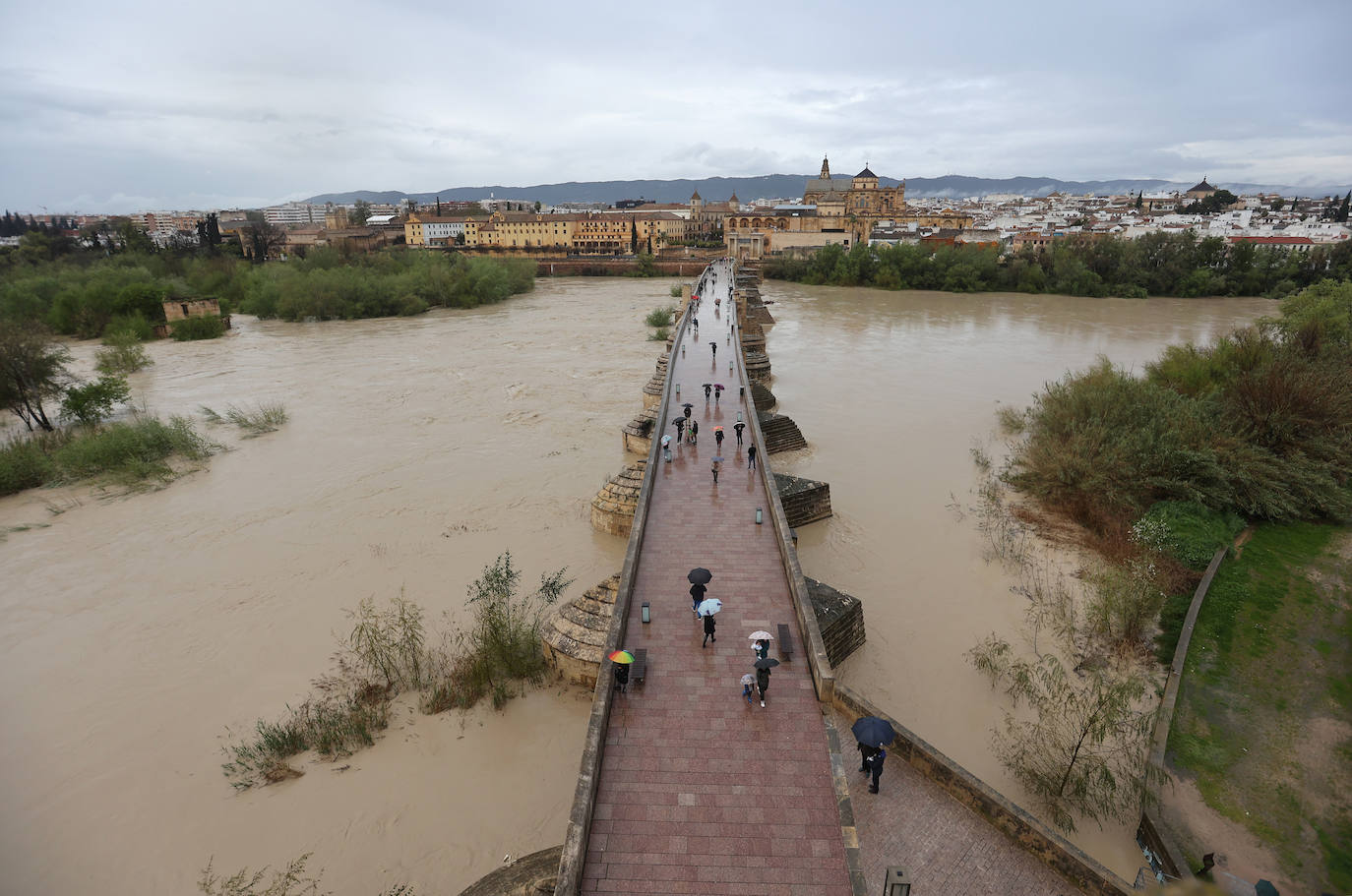 El impetuoso cauce del río Guadalquivir a su paso por Córdoba, en imágenes