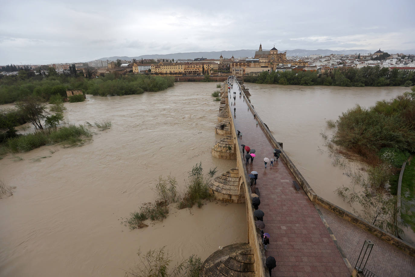 El impetuoso cauce del río Guadalquivir a su paso por Córdoba, en imágenes
