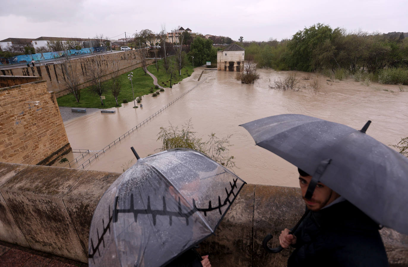 El impetuoso cauce del río Guadalquivir a su paso por Córdoba, en imágenes