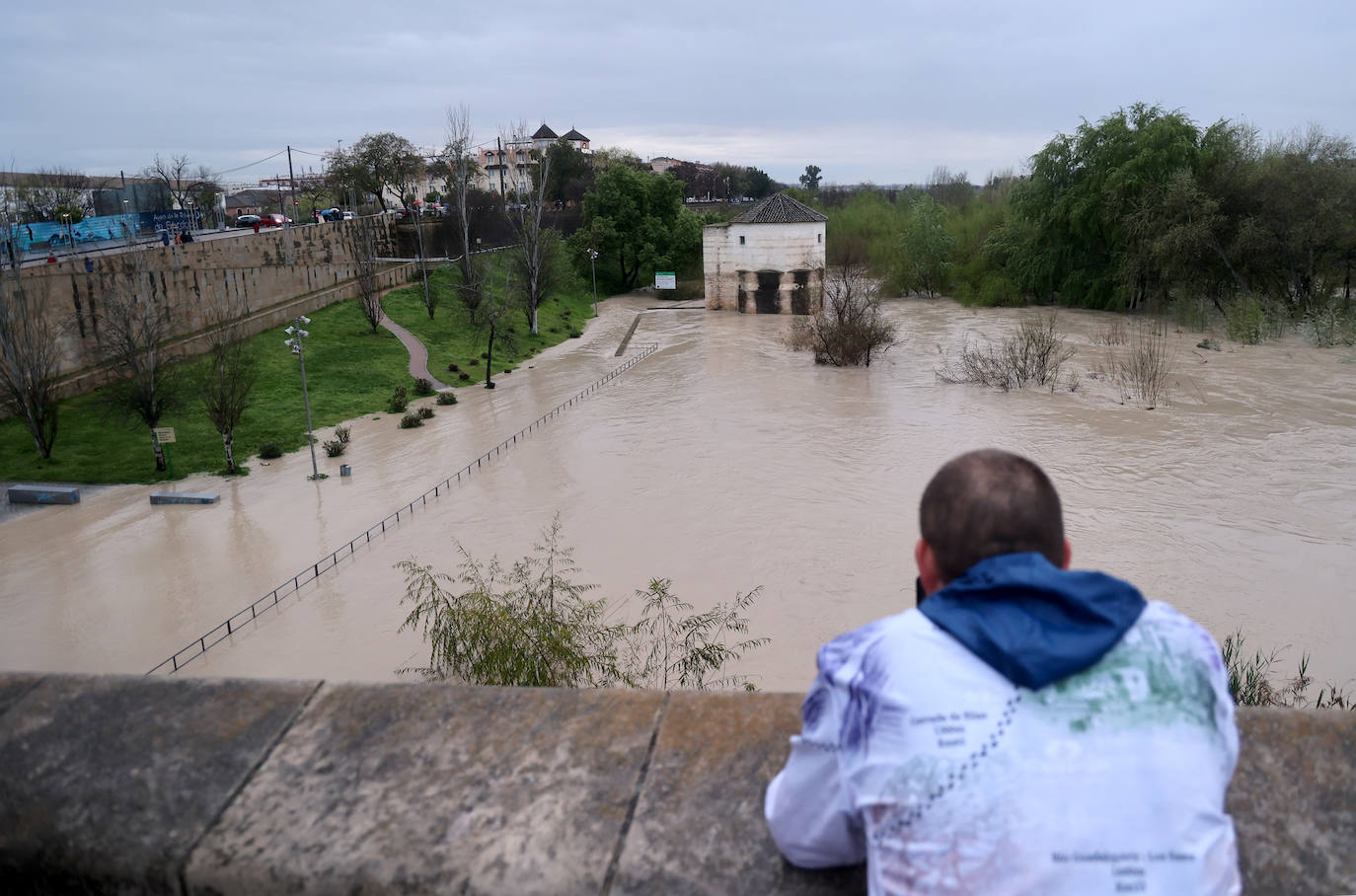 El impetuoso cauce del río Guadalquivir a su paso por Córdoba, en imágenes