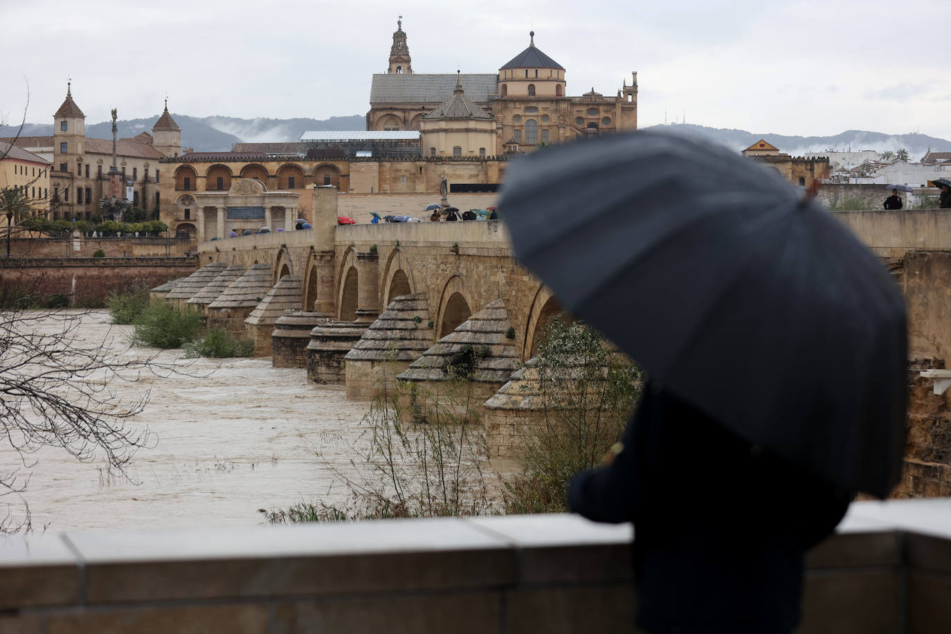 El impetuoso cauce del río Guadalquivir a su paso por Córdoba, en imágenes