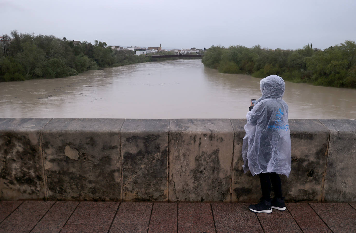 El impetuoso cauce del río Guadalquivir a su paso por Córdoba, en imágenes
