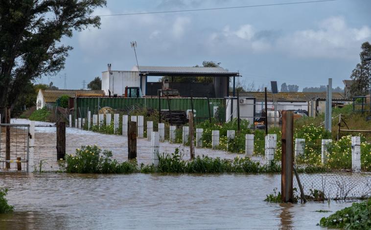 Imagen principal - La crecida del río Odiel provoca la evacuación de vecinos en Gibraleón