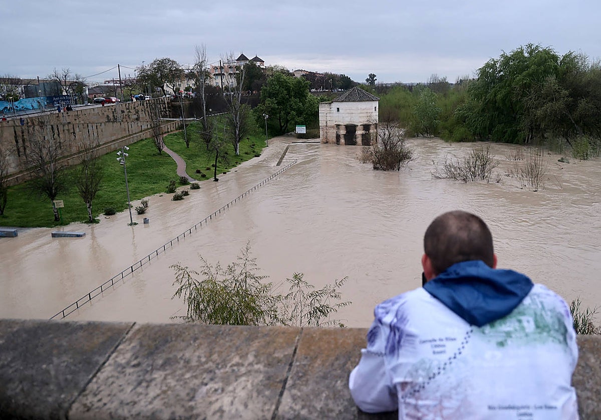 El impetuoso cauce del río Guadalquivir a su paso por Córdoba, en imágenes