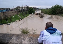 El impetuoso cauce del río Guadalquivir a su paso por Córdoba, en imágenes