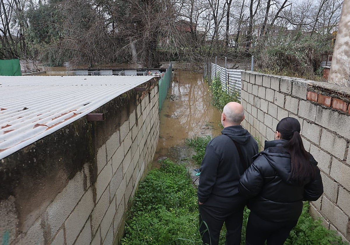 Dos vecinos de Alcolea contemplan el agua llegando a la zona con viviendas junto al río