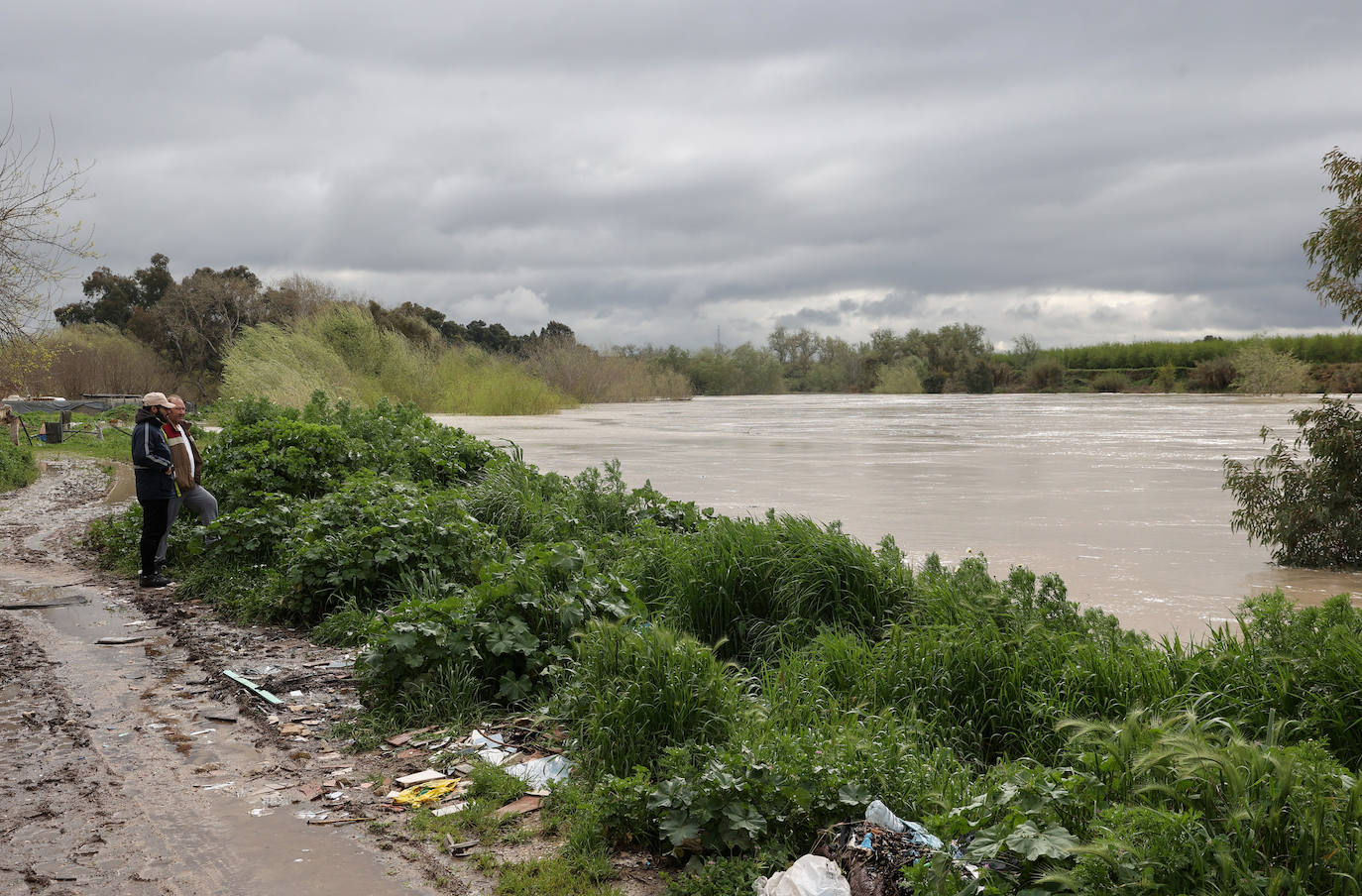 El desolador aspecto de las viviendas anegadas junto al río en Córdoba, en imágenes