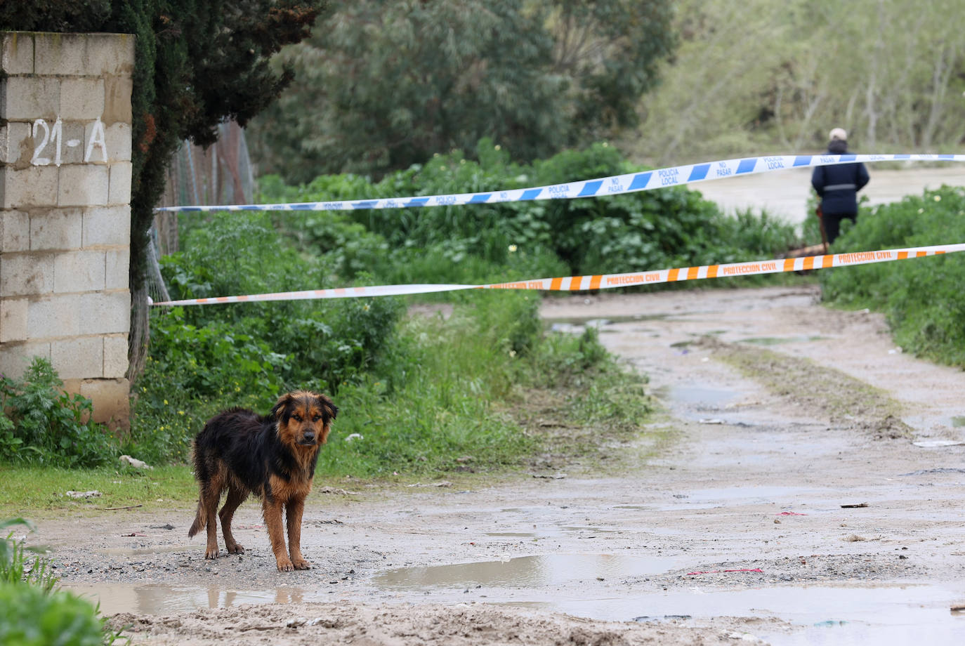 El desolador aspecto de las viviendas anegadas junto al río en Córdoba, en imágenes