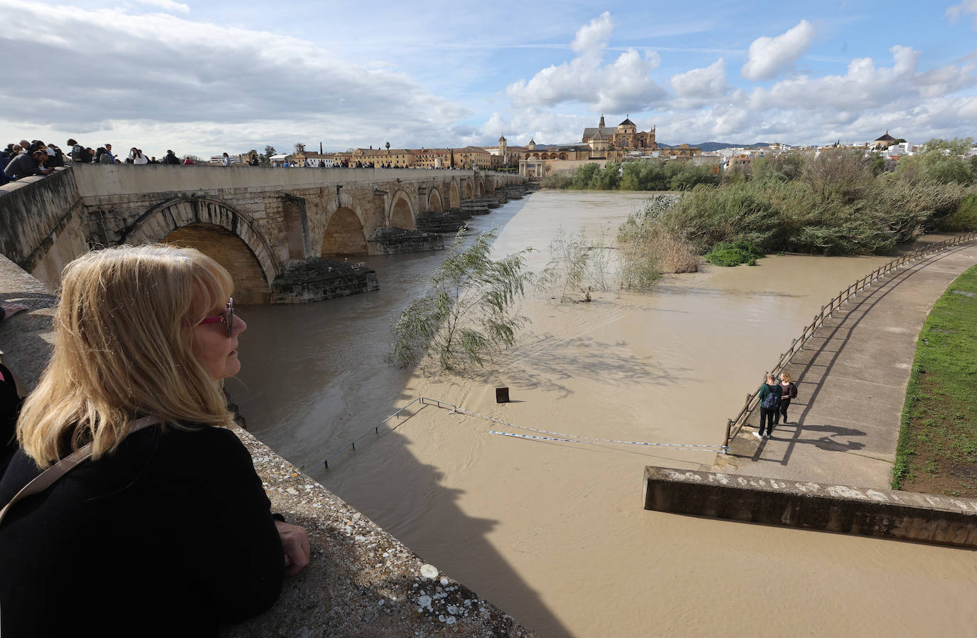 El impactante aspecto del río Guadalquivir a su paso por Córdoba