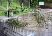 Diecinueve ríos de Andalucía, en nivel rojo por su elevado nivel de caudal tras las lluvias de Laurence