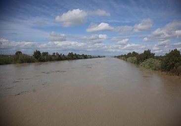 Inundaciones en Sevilla, en directo: última hora del desbordamiento del Guadalquivir, carreteras cortadas en Andalucía y estado de los embalses