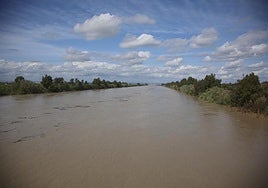 Inundaciones en Sevilla, en directo: última hora del desbordamiento del Guadalquivir, carreteras cortadas en Andalucía y estado de los embalses