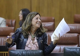 Carmen Castillo: «La gratuidad de las guarderías es la medida más ambiciosa de la educación»