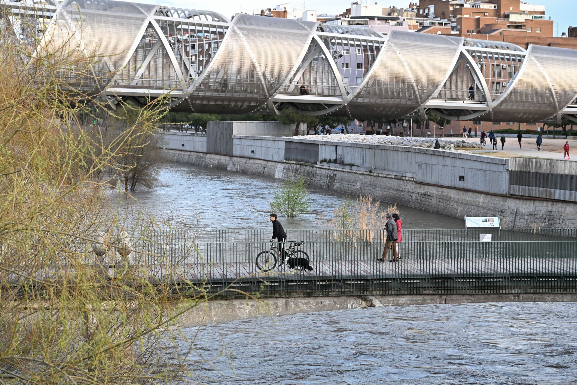 Personas paseando por los puentes de Madrid Río