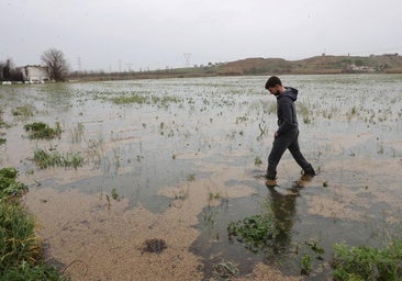 La crecida de los ríos arruina a los agricultores: «Ha arrasado con todo»