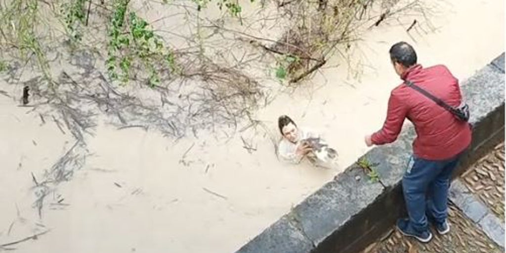 En vídeo: se tira al río Guadalquivir para salvar un gato callejero