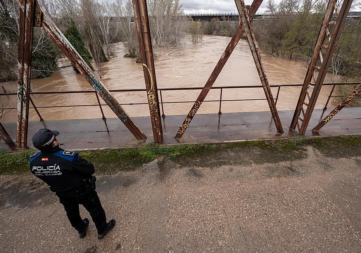 El río Jarama a su paso por Mejorada del Campo, en el Puente de Hierro, este sábado