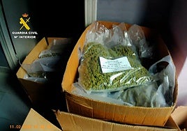 Golpe de la Guardia Civil al negocio de los 'growshops' que venden marihuana y CBD en España