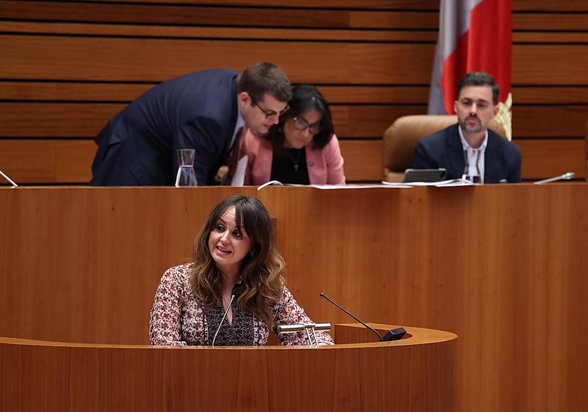 Ana Sánchez dialoga con el letrado de las Cortes, al lado de Diego Moreno mientras interviene la también socialista Patricia Gómez
