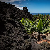 La Palma sigue esperando ayudas de más de 100 millones del Estado para reconstruir fincas del volcán