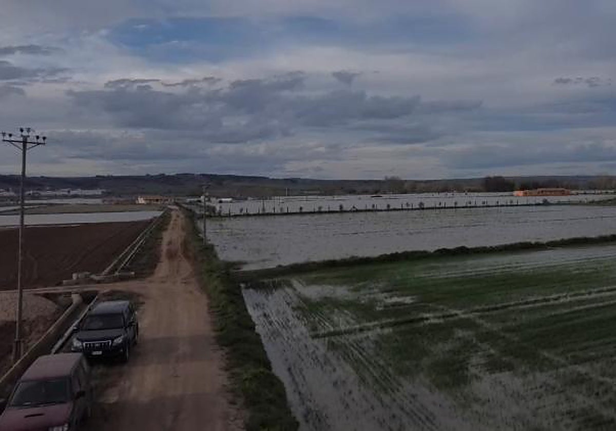 Campos inundados por la crecida del Tajo, en una imagen captada este jueves en la provincia de Toledo