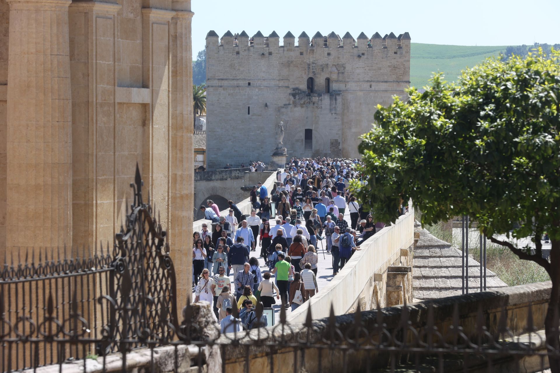 En imágenes, el ambiente en terrazas y calles de Córdoba por el buen tiempo