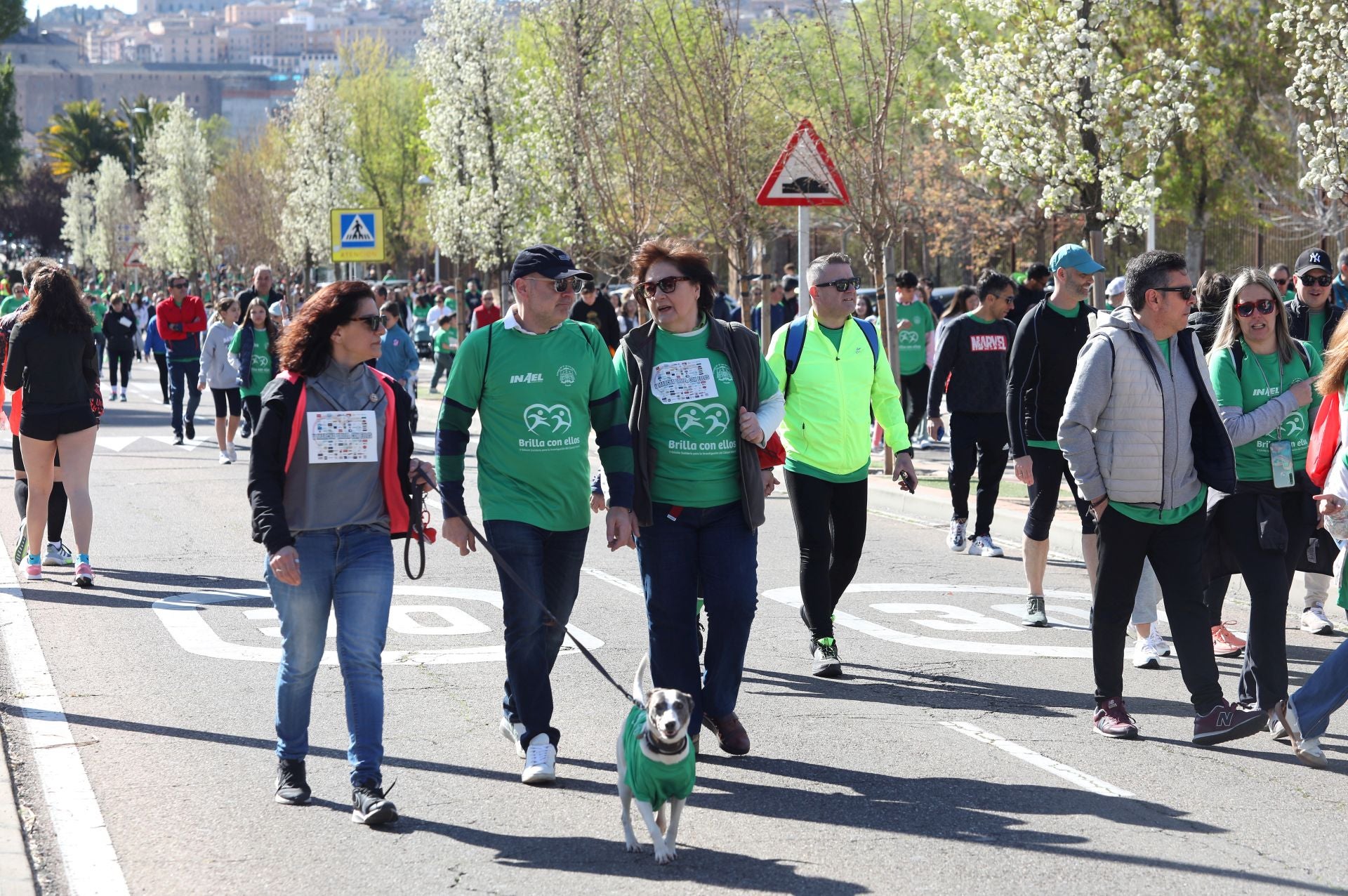 'Brilla con ellos', en imágenes: Toledo se vuelca contra el cáncer infantil