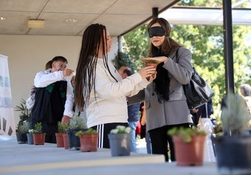 Mirar con las manos y el olfato a la primavera que irrumpe en Córdoba