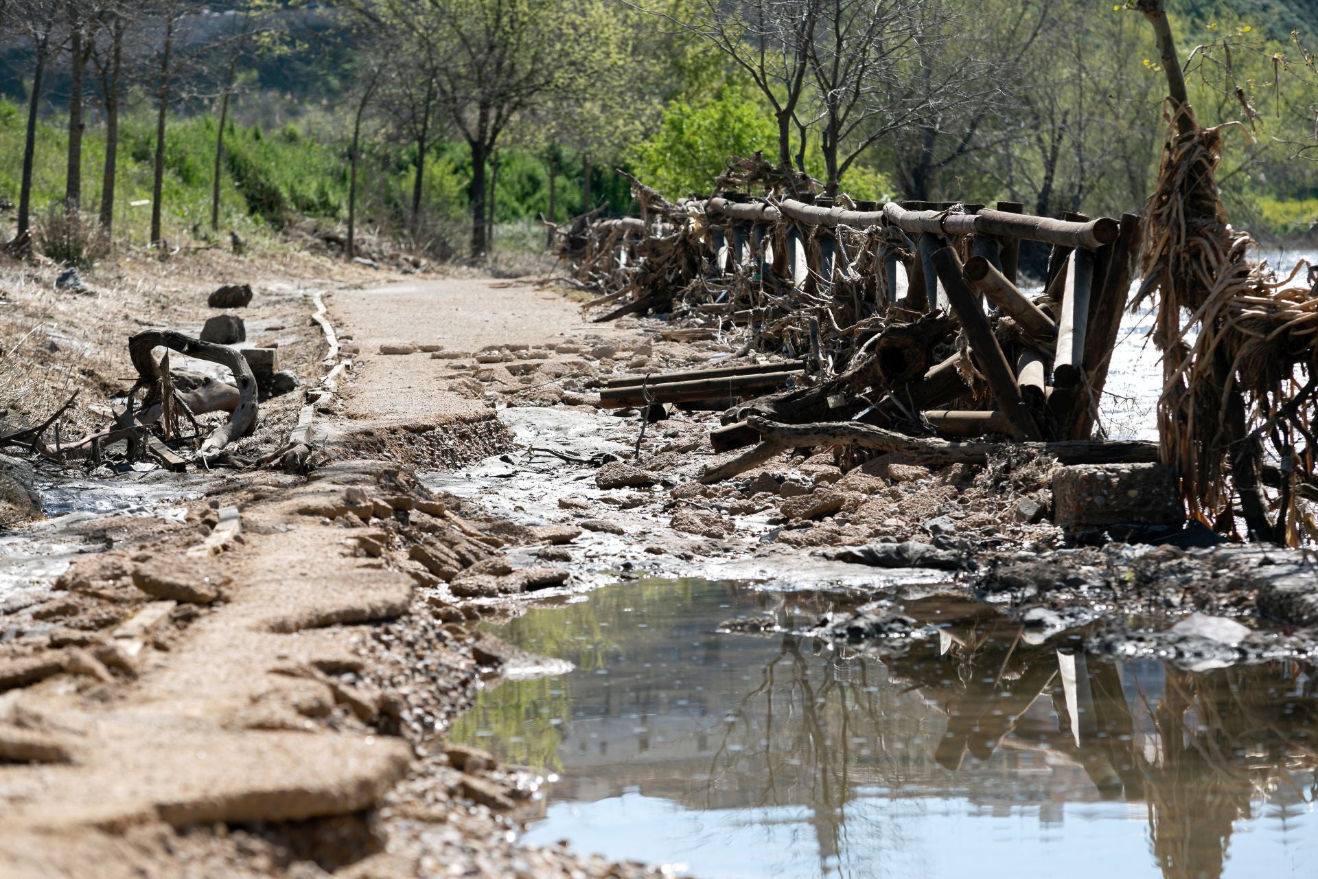 Las imágenes de la destrucción de la senda ecológica de Toledo
