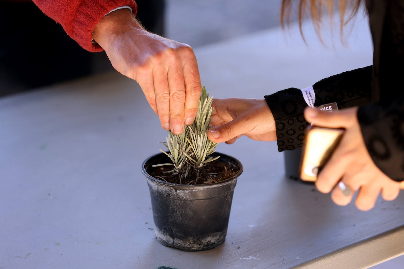 La semana de actividades de la ONCE sobre su gran labor social en Córdoba, en imágenes
