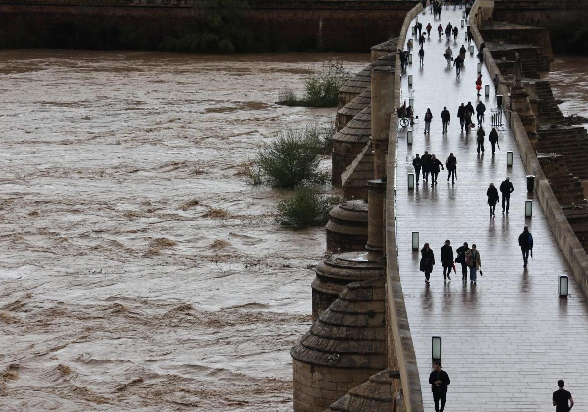 El Guadalquivir a su paso por Córdoba tras las intensas lluvias el pasado 25 de marzo