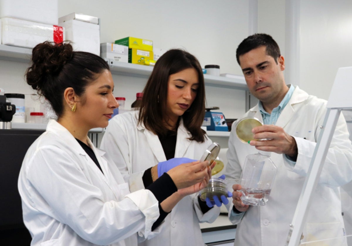 Tres miembros del equipo de investigación de la UCO sobre listeriosis