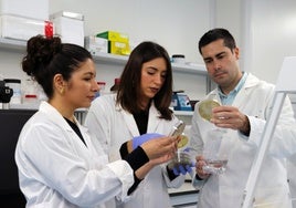 Cómo predecir el aumento de listeria en quesos frescos artesanales: la Universidad de Córdoba emplea un modelo matemático