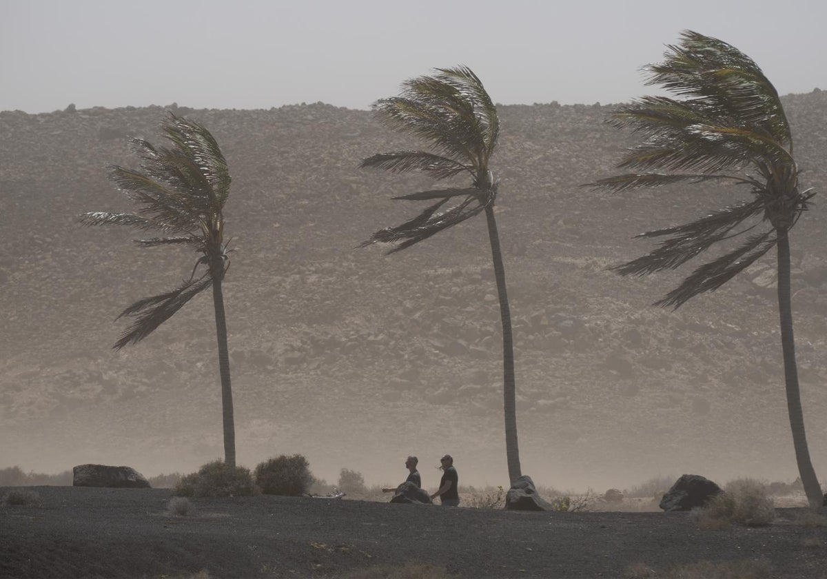 El viento azota unas palmeras en la localidad de La Santa, en el municipio de Tinajo de Lanzarote