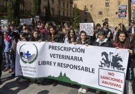 Veterinarios de Castilla y León «pausan» las protestas en mataderos tras la reunión con Sanidad